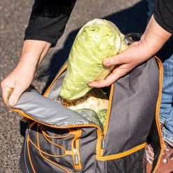 CampFeuer Kühlrucksack 30 Liter | Grau | Isoliertasche Leicht Und Wasserdicht -Camping Store bag6 rucksack bild12 2000px 1280x1280