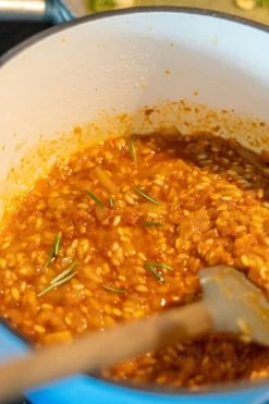 BBQ-Toro Cocotte | 4,0 Liter - Ø 24 Cm | Gusseisen, Emailliert, Blau 10 BBQ-Toro Cocotte | 4,0 Liter - Ø 24 Cm | Gusseisen, Emailliert, Blau -Camping Store co01 cocotte actionbild2 1500px 1280x1280