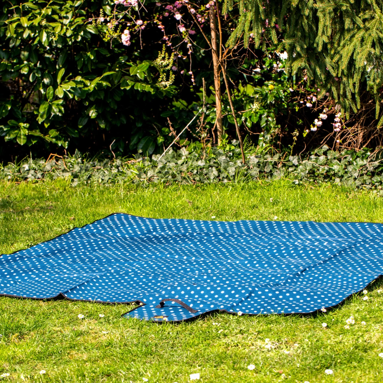 CampFeuer Picknickdecke 200x200 Cm | Blau | Muster: Punkte 4 CampFeuer Picknickdecke 200x200 Cm | Blau | Muster: Punkte – Bild 2
