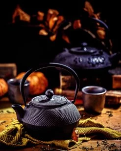 BBQ-Toro Asiatische Gusseisen Teekanne Mit Edelstahlsieb | 1,2 Liter -Camping Store tea2 teekanne gusseisen action2 1280x1280